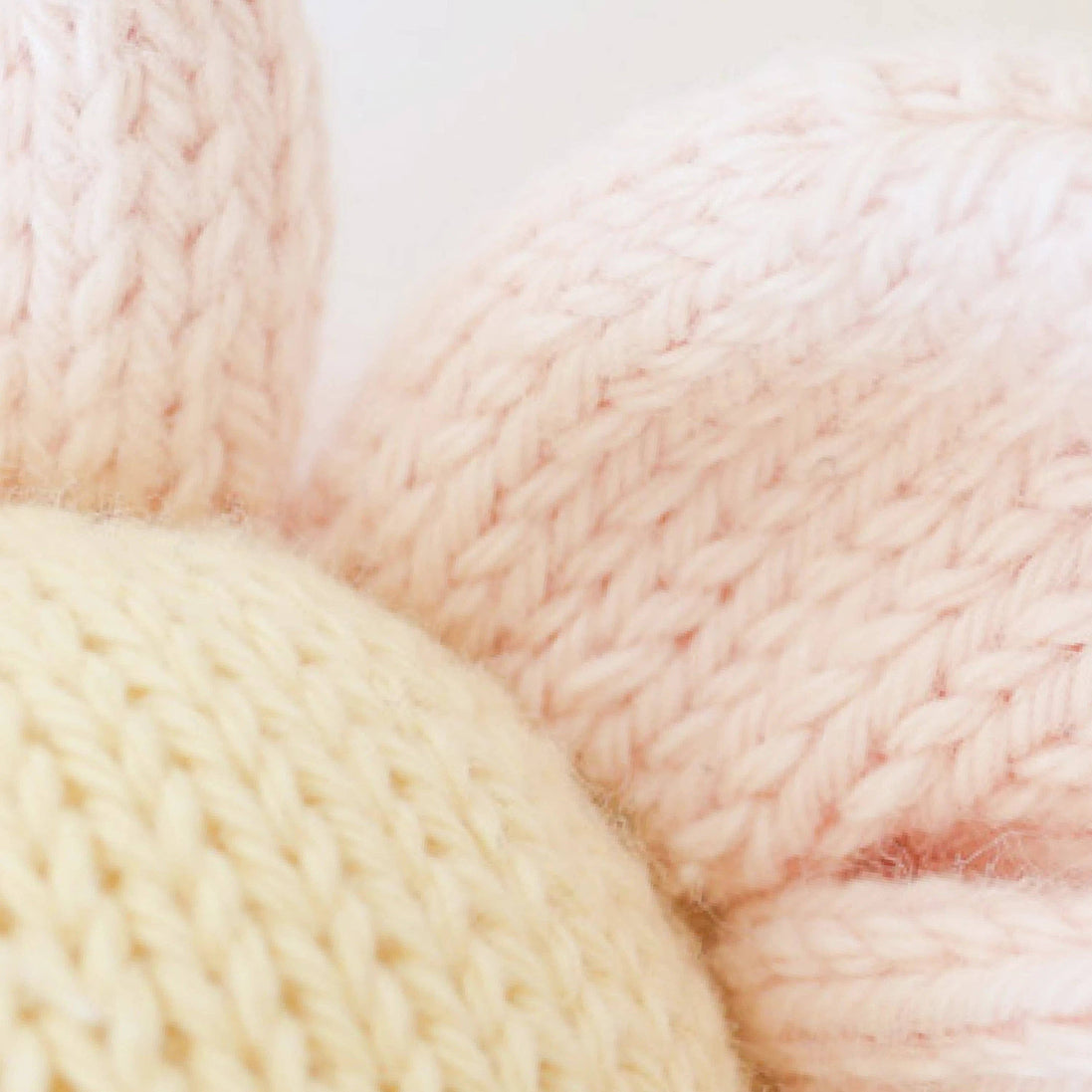 Baby Daisy (blush pink)