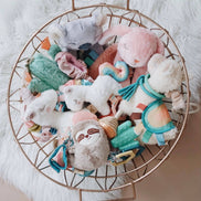 Itzy Friends Link & Love™ Activity Plush with Teether Toy