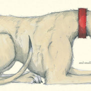 Dogs by Emily Gravett