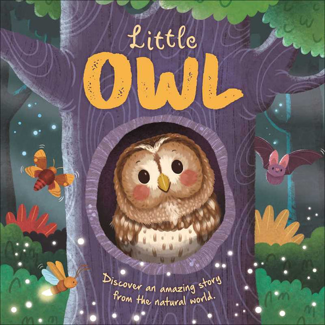 Nature Stories: Little Owl-Discover an Amazing Story from the Natural World by IglooBooks