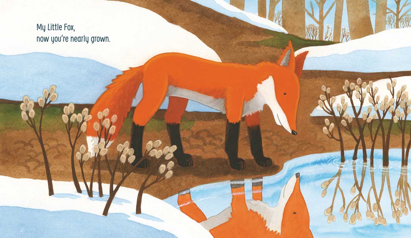 My Little Fox by Rick Chrustowski