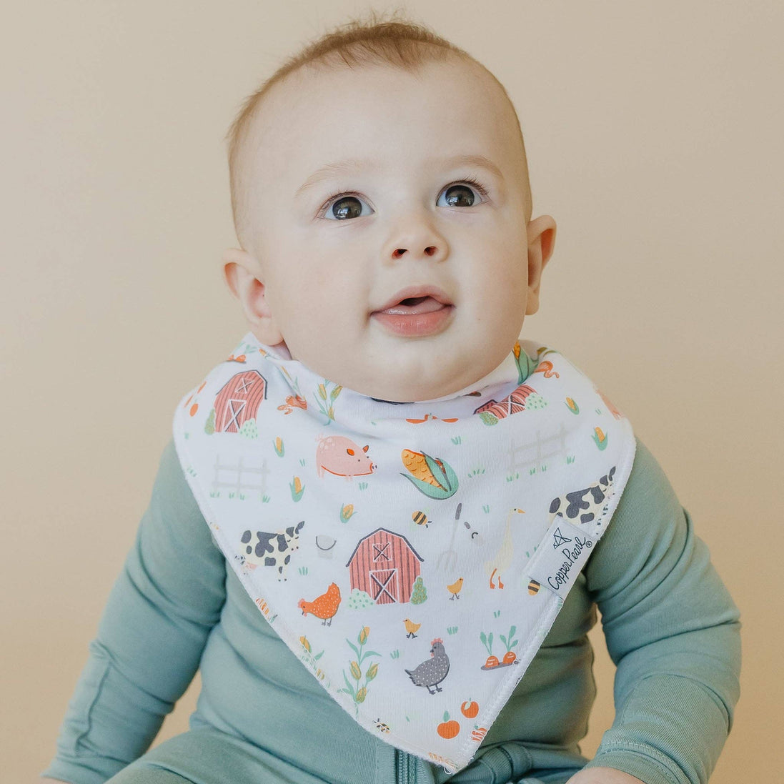 4 Pack Baby Bandana Bibs - Farmstead