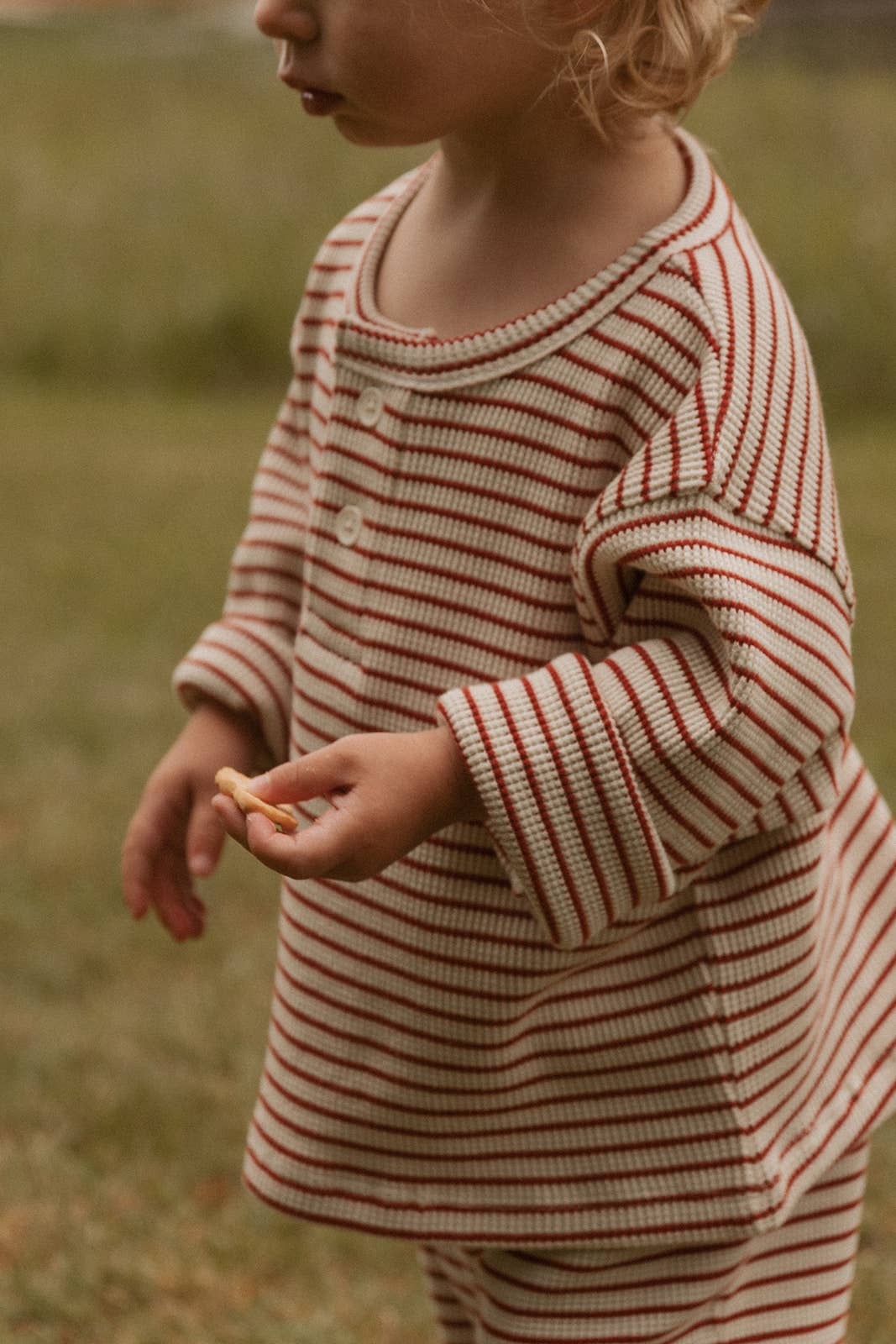 Micky Set in Thin Turtledove Stripe