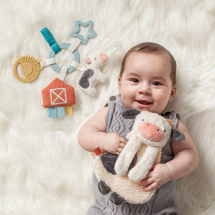 Bitzy Busy Ring™ Teething Activity Toy