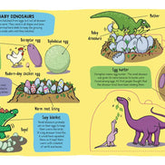 Little Explorers: Dinosaurs by Little Bee Books