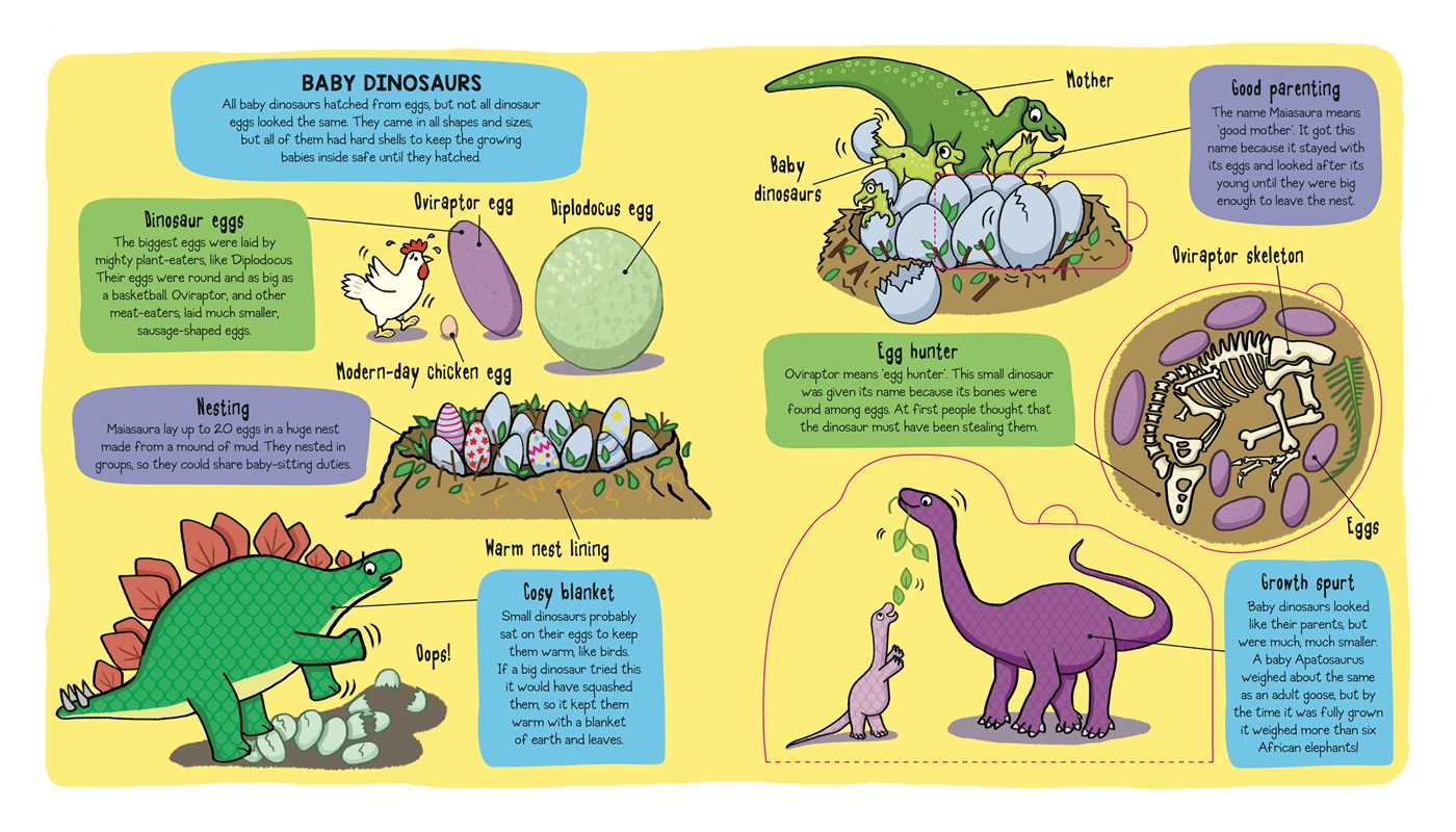 Little Explorers: Dinosaurs by Little Bee Books