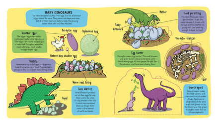 Little Explorers: Dinosaurs by Little Bee Books