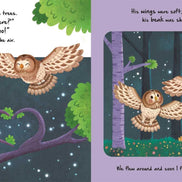 Nature Stories: Little Owl-Discover an Amazing Story from the Natural World by IglooBooks