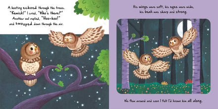 Nature Stories: Little Owl-Discover an Amazing Story from the Natural World by IglooBooks