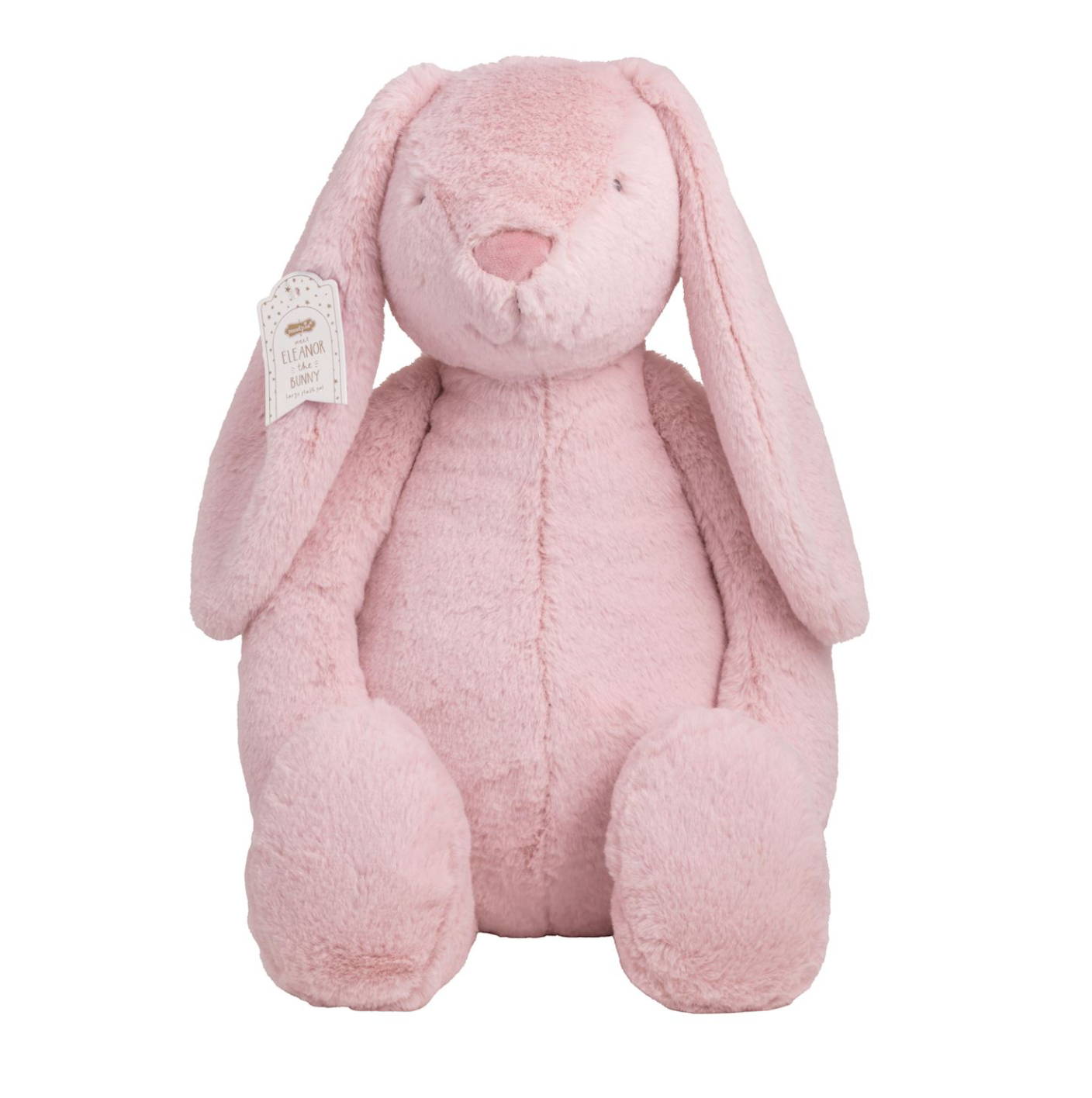 Eleanor The Pink Bunny