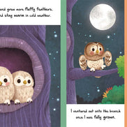 Nature Stories: Little Owl-Discover an Amazing Story from the Natural World by IglooBooks