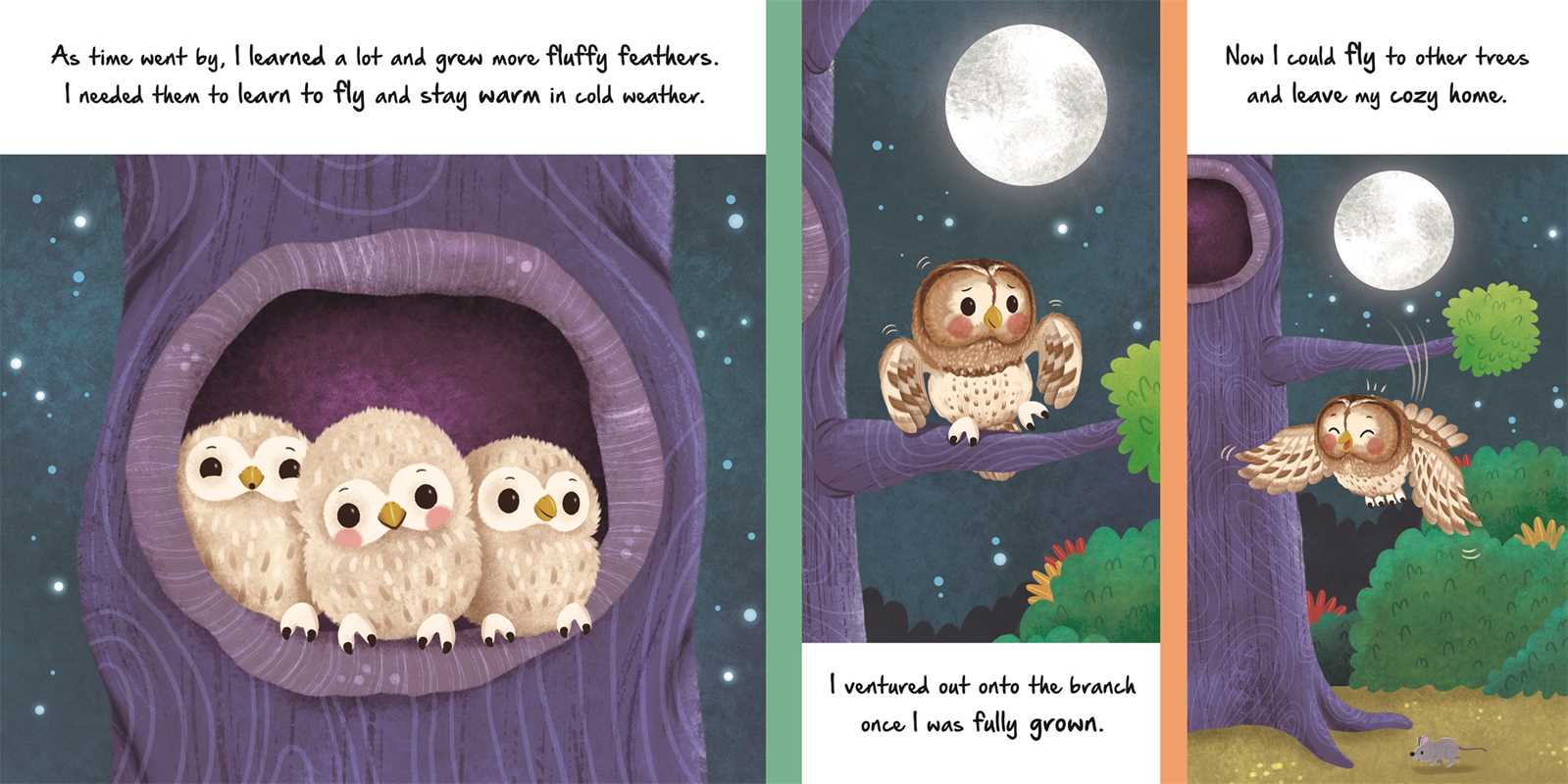 Nature Stories: Little Owl-Discover an Amazing Story from the Natural World by IglooBooks