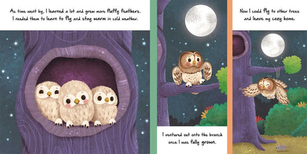 Nature Stories: Little Owl-Discover an Amazing Story from the Natural World by IglooBooks