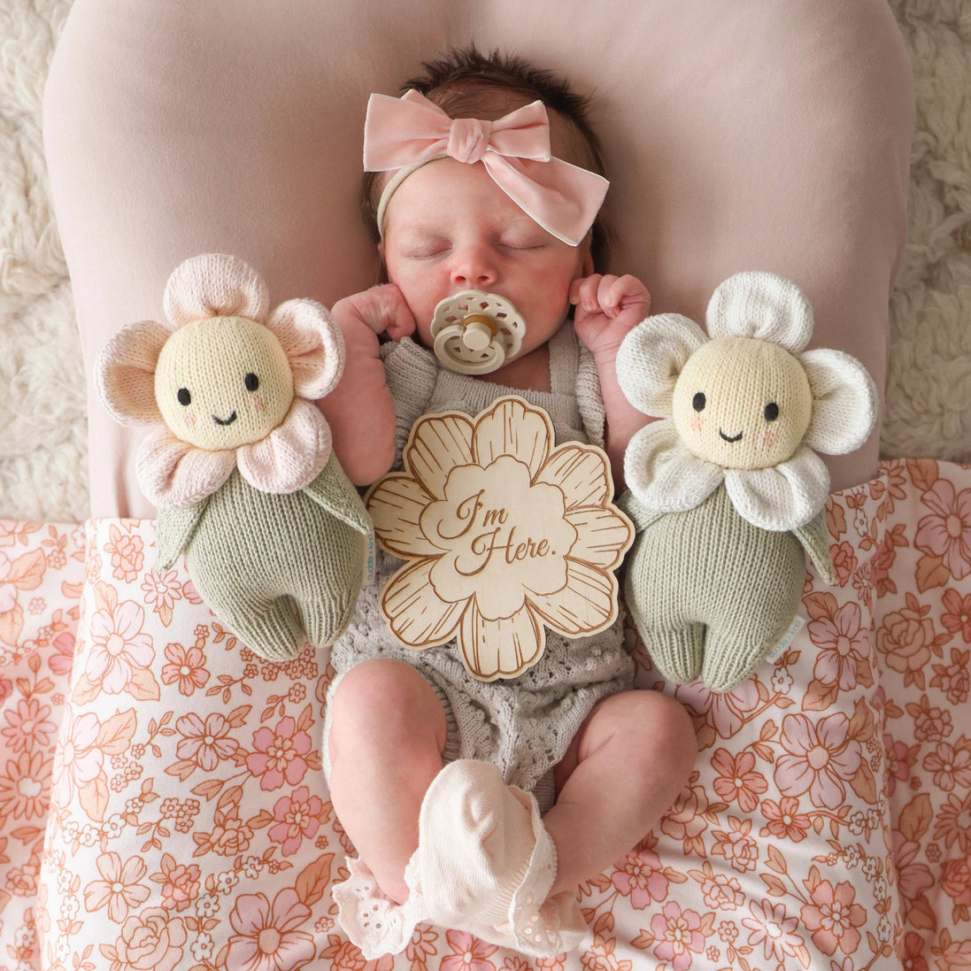 Baby Daisy (blush pink)
