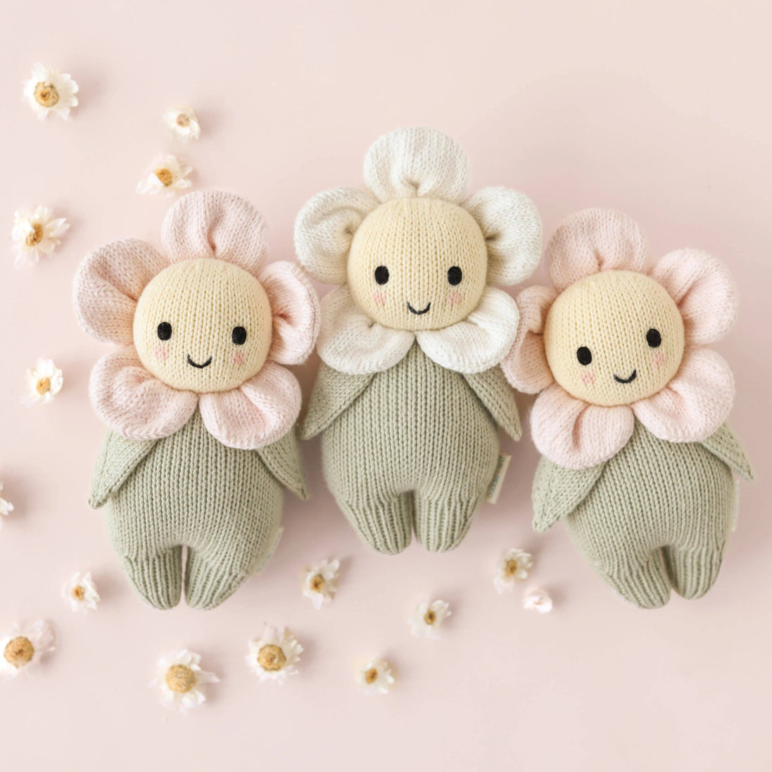 Baby Daisy (blush pink)