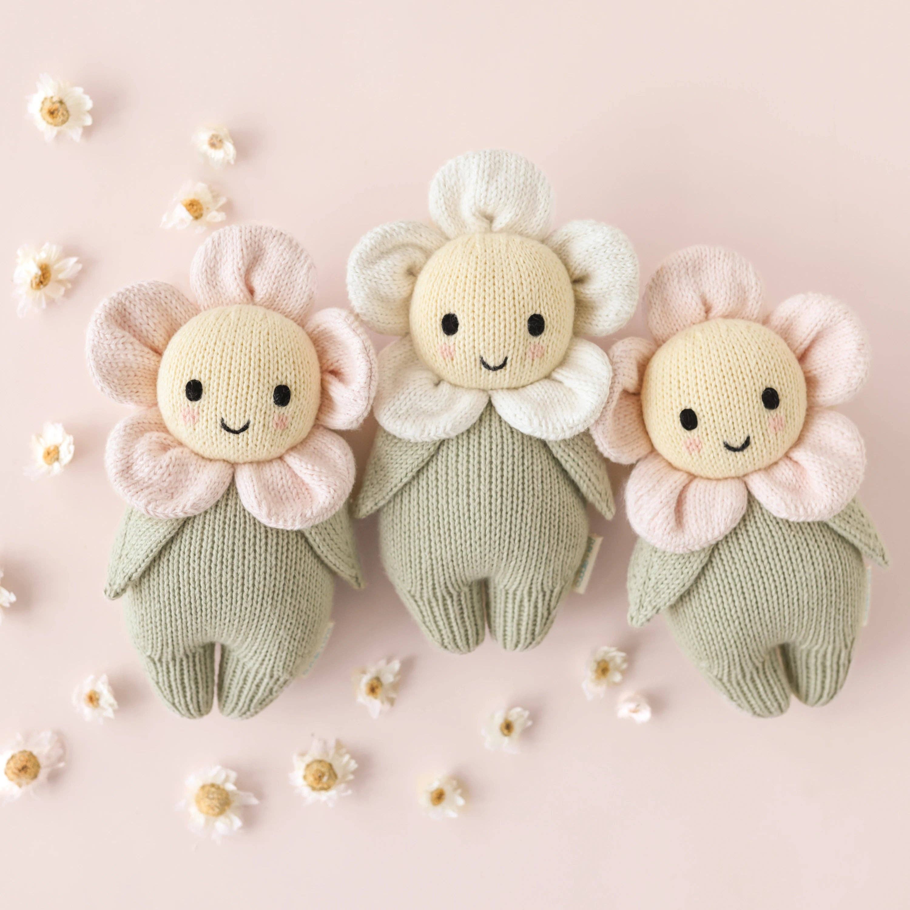 Baby daisy (blush pink)