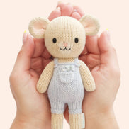 Tiny Bailey the mouse