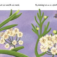 Nature Stories: Little Caterpillar by IglooBooks