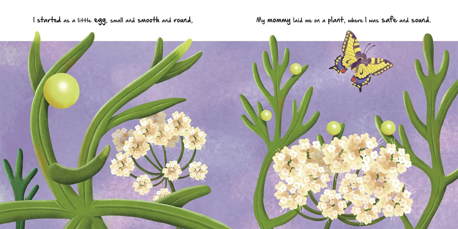 Nature Stories: Little Caterpillar by IglooBooks